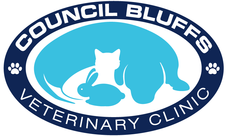 Council Bluffs Veterinary Clinic